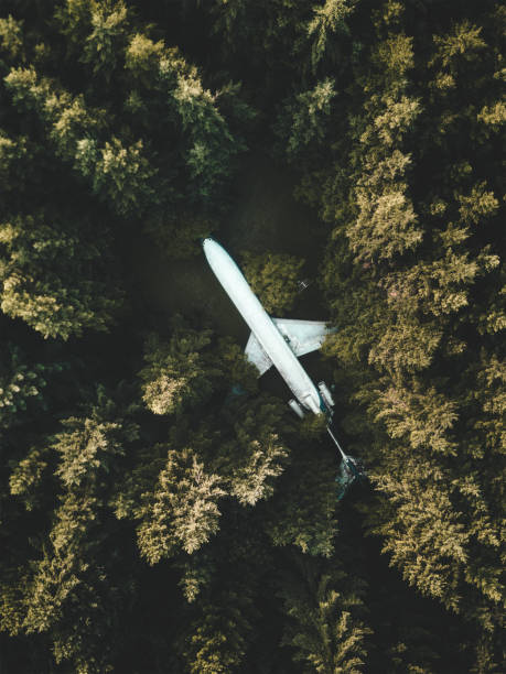 avión en el bosque - day washington state vertical outdoors fotografías e imágenes de stock