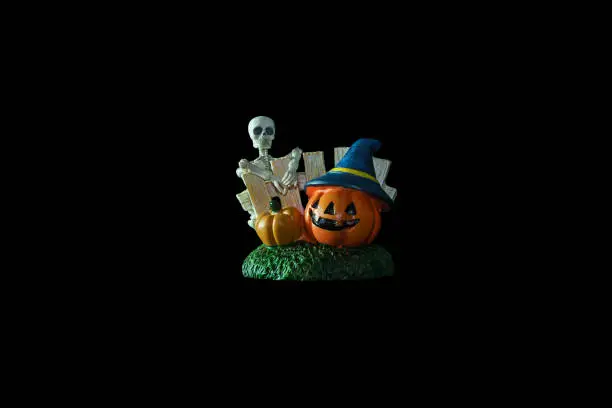 Photo of Halloween concept : Low key image of Plastic human skeleton model  and ceramic pumpkins isolated on black background