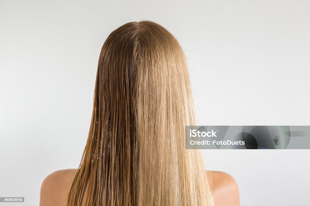 Wet and dry woman's blonde hair before and after using hair dryer on the gray background. Cares about a healthy and clean hair. Beauty salon concept. Before and After Stock Photo