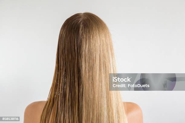 Wet And Dry Womans Blonde Hair Before And After Using Hair Dryer On The Gray Background Cares About A Healthy And Clean Hair Beauty Salon Concept Stock Photo - Download Image Now