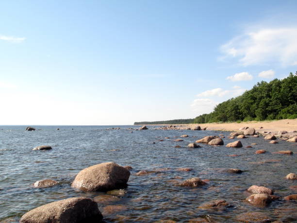 istock coast of the Baltic sea 858538404