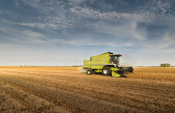 istock Harvesting of soybean field with combine 858541818