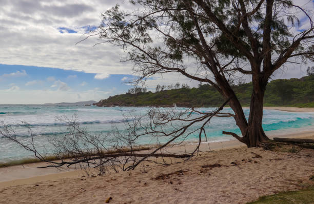 istock Anse Cocos beach at La Digue island. Indian ocean. Seychelles 858544968