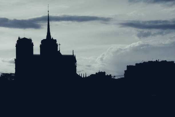 Notre Dame Cathedral before the fire, profile view