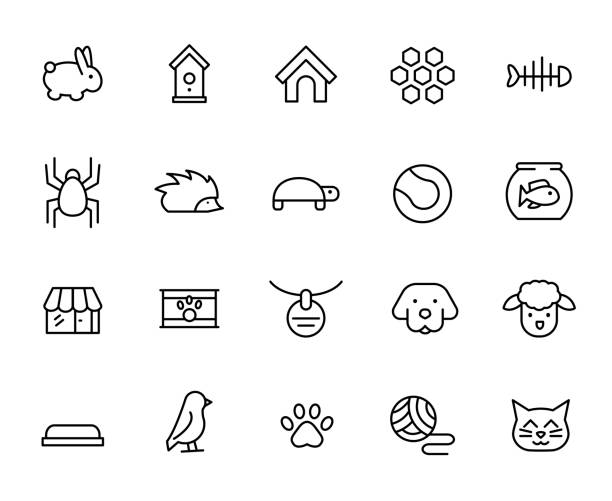 ilustrações de stock, clip art, desenhos animados e ícones de premium set of pet line icons - chicken animal foot farm store