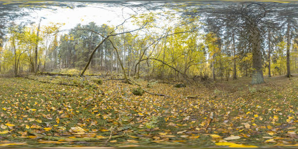 istock Scandinavia fall colors 360 degree Panorama 858550686