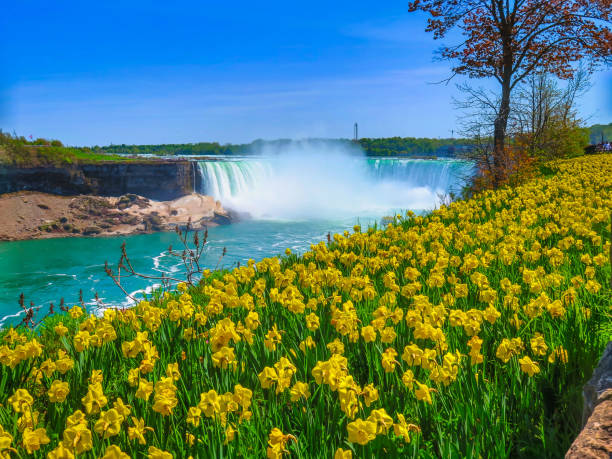 istock Visiting Niagara Falls in Ontario, Canada 858557950