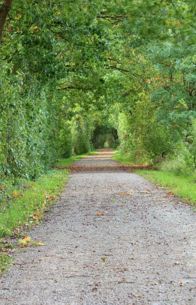 istock At the end of the tunnel 858560584