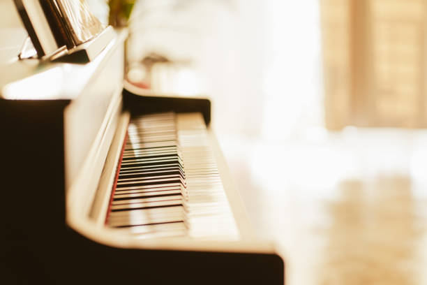 istock Close up view of black piano keys , selected focus . 858564344