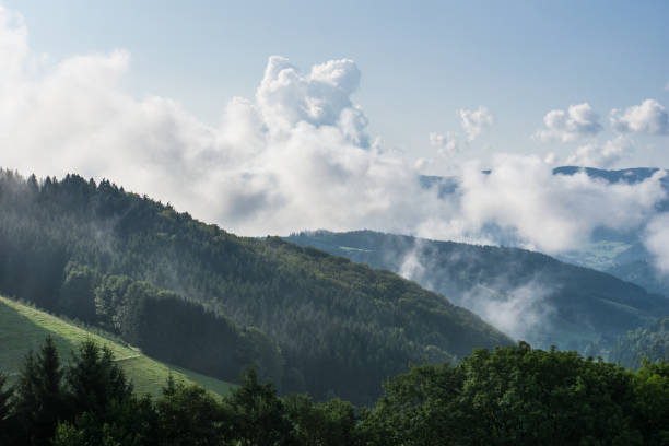 Autumn morning above the black forest germany with waft of mist stock photo