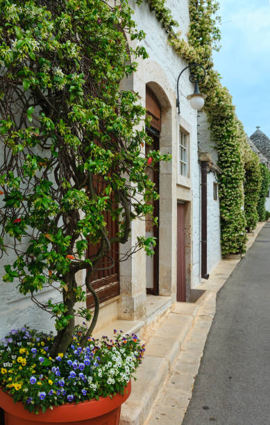istock Trulli houses in Alberobello, Italy 858568806