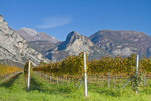 istock Autumn landscape in Sarca valley 858575574