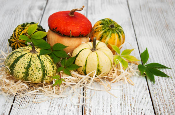 istock Pumpkins with autumn leaves 858580526