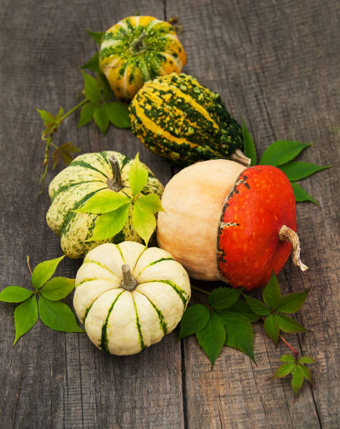 istock Pumpkins with autumn leaves 858580538