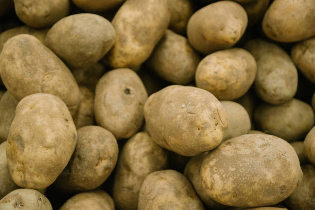 istock Selective focus, Piles of potatoes 858580644