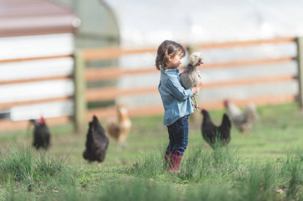 istock A girl and her chicken 858583842