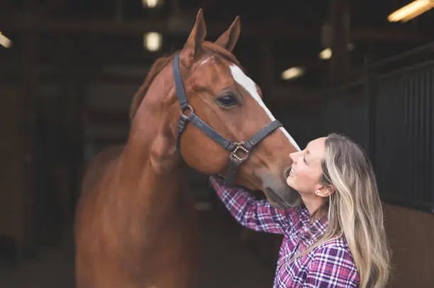 Owner affectionately rubs and pats her horse down in the stables