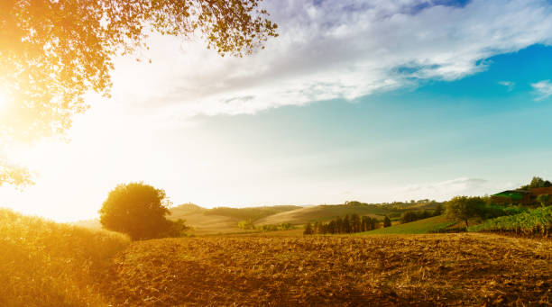 istock Classic view of scenic Tuscany landscape 858586122