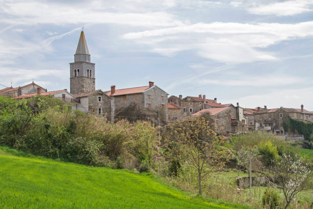 istock Kostanjica in Istria 858587066