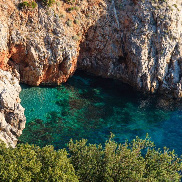 istock Zingaro sea coast, Sicily, Italy 858587268