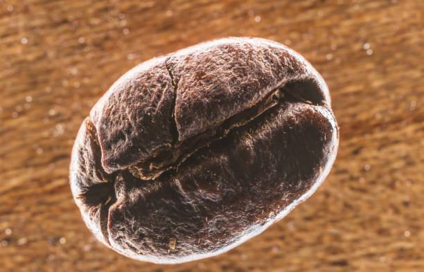 close up crack coffee bean with grow light on wooden background