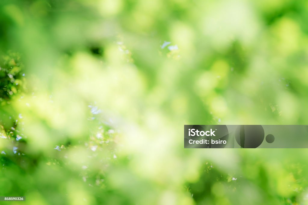 Fresh green background Abstract Stock Photo