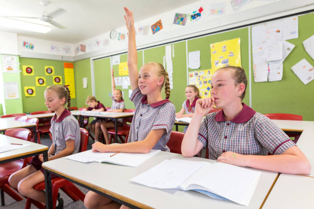 istock Education of Primary School Students Answering Questions in Class 858591522