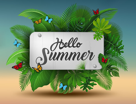 Hello summer sign with Tropical Leaves and butterflies. Suitable for Summer concept, vacation, and summer holiday. Vector Illustration