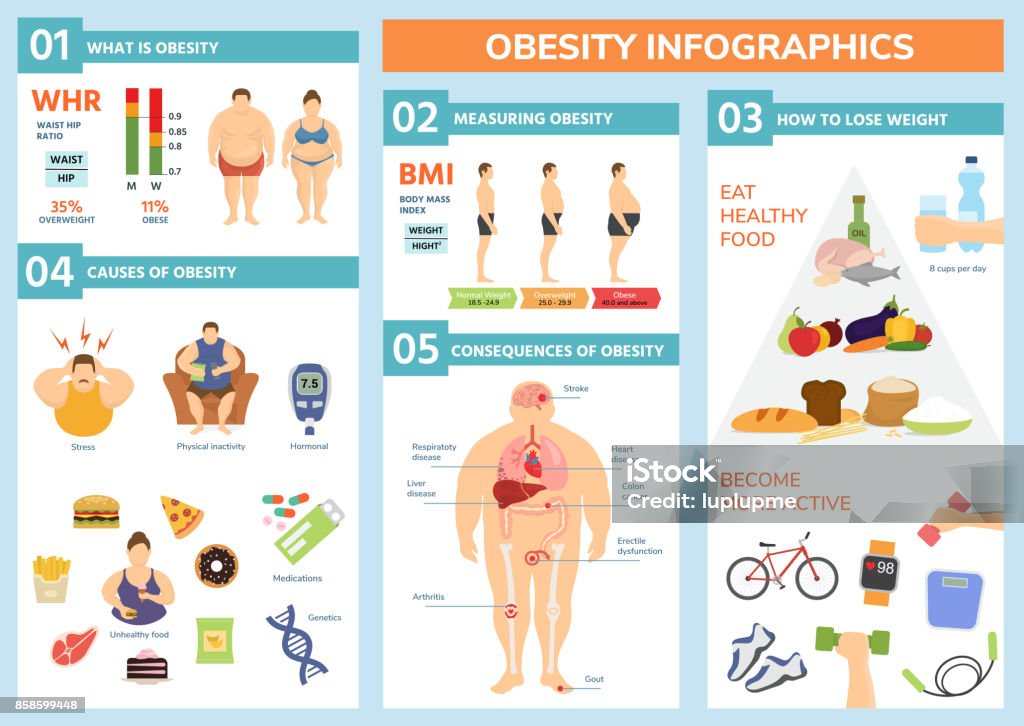 Obesity weight loss and fat people health problems infographic healthy elements exercise for good health with food vector illustration Obesity weight loss and fat people health problems infographic healthy elements exercise for good health with food vector illustration. Wellness body overweight concept. Overweight stock vector
