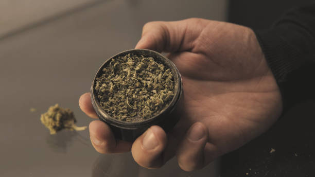 istock Herb Grinder close-up. Weed grinder for smoking joints & blunts 858603198