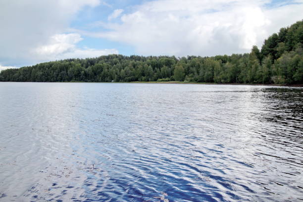 istock fishing by the lake 858603774