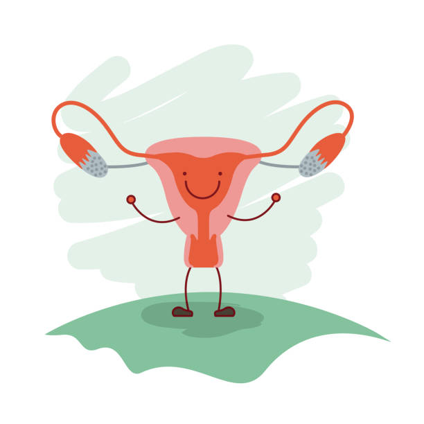 colorful scene in grass with silhouette caricature female reproductive system colorful scene in grass with silhouette caricature female reproductive system vector illustration diagram of female reproductive system drawings stock illustrations