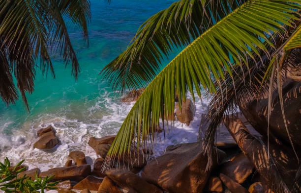 istock Anse Patates beach. La Digue island. Indian ocean. Seychelles 858604484