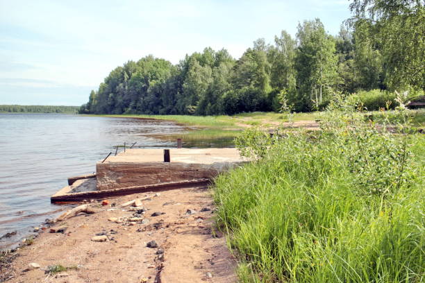 istock Beach on the shore of the lake 858606890