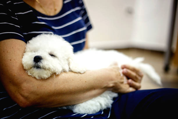 istock Mature woman and dog 858615838