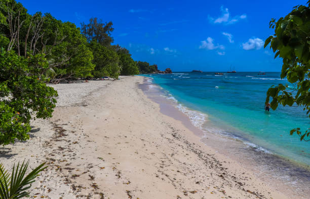 istock Anse Severe beach. La Digue island. Indian ocean. Seychelles 858618622