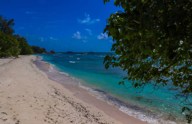 istock Anse Severe beach. La Digue island. Indian ocean. Seychelles 858619072