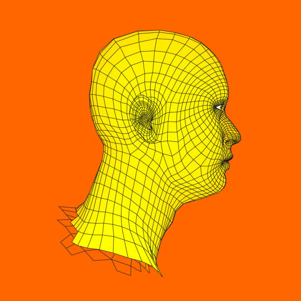 istock Head of the Person from a 3d Grid. Human Head Wire Model. Human Polygon Head. Face Scanning. View of Human Head. 3D Geometric Face Design. 3d Polygonal Covering Skin. Geometry Polygon Man Portrait. 858626318