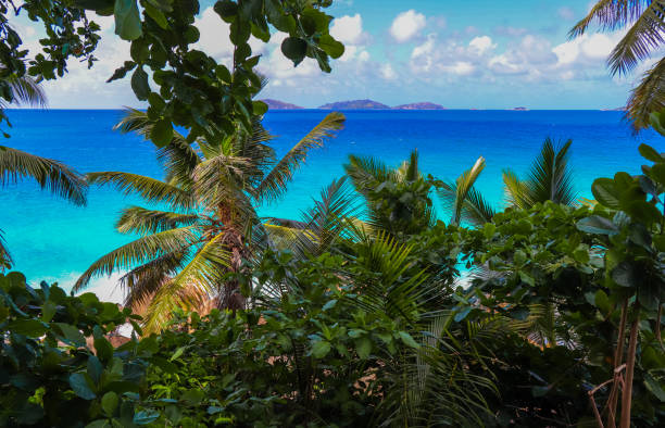 istock Anse Patates beach. La Digue island. Indian ocean. Seychelles 858631038