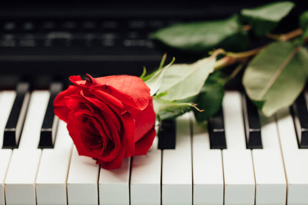 istock piano keys and red rose 858631716