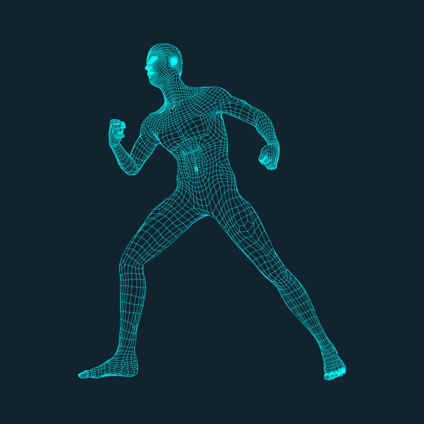 istock 3D Model of Man. Polygonal Design. Geometric Design. Business, Science and Technology Vector Illustration. 3d Polygonal Covering Skin. Human Polygon Body. Human Body Wire Model. 858635012
