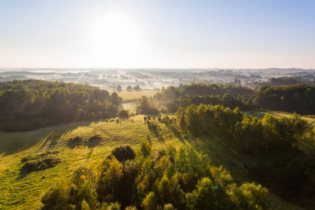 istock Misty countryside, top view 858637922