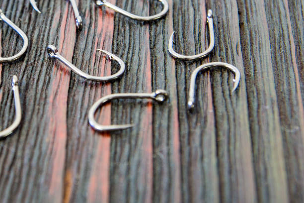 istock Preparing for carp fishing. 858642228