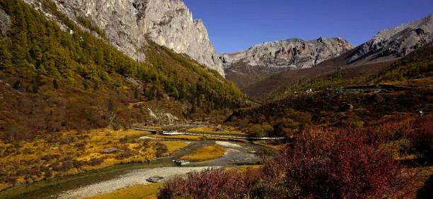 Shangri la, with yellow green red autumn trees in valley and wooden footpath bridge crossing river stream underneath blue skies in Yading national level reserve, Daocheng, Sichuan Province, China.