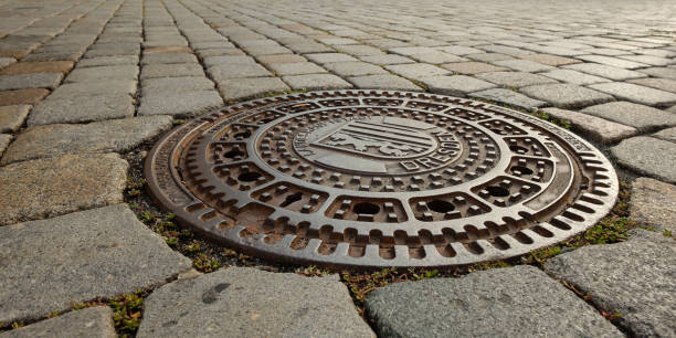 istock Cast iron manhole with lion in coat of arms 858654524