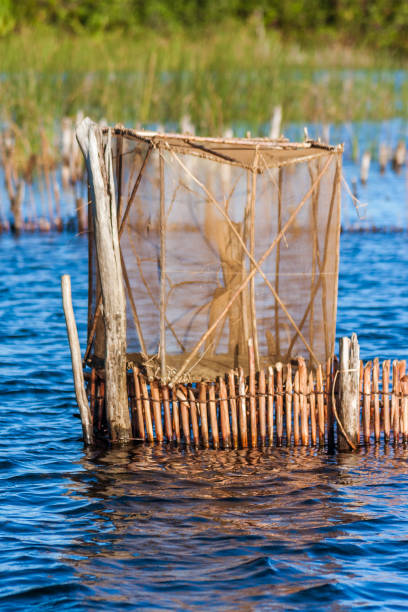 el canal de pangalanes - fish trap fotografías e imágenes de stock