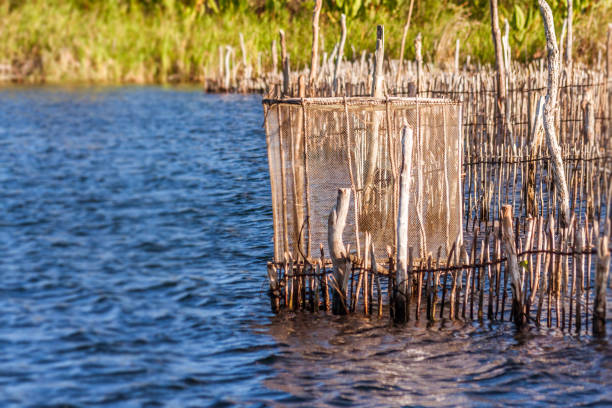 A storm is brewing in the Andaman sea, Thailand during monsoon season.  In the foreground a rustic traditional Fishermans fish trap on the beach.