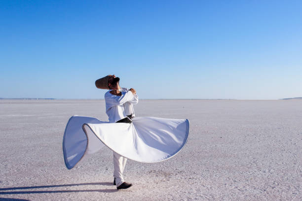 istock Salutation to the rose...Salt Lake, Turkey 858658426