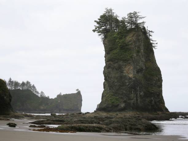 istock Quillayute Needles, Rocky Shore, Olympic Coastline, Washington 858662032