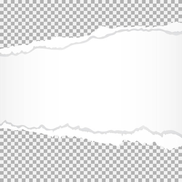 850+ Torn Paper Edge Border Stock Illustrations, Royalty-Free Vector ...